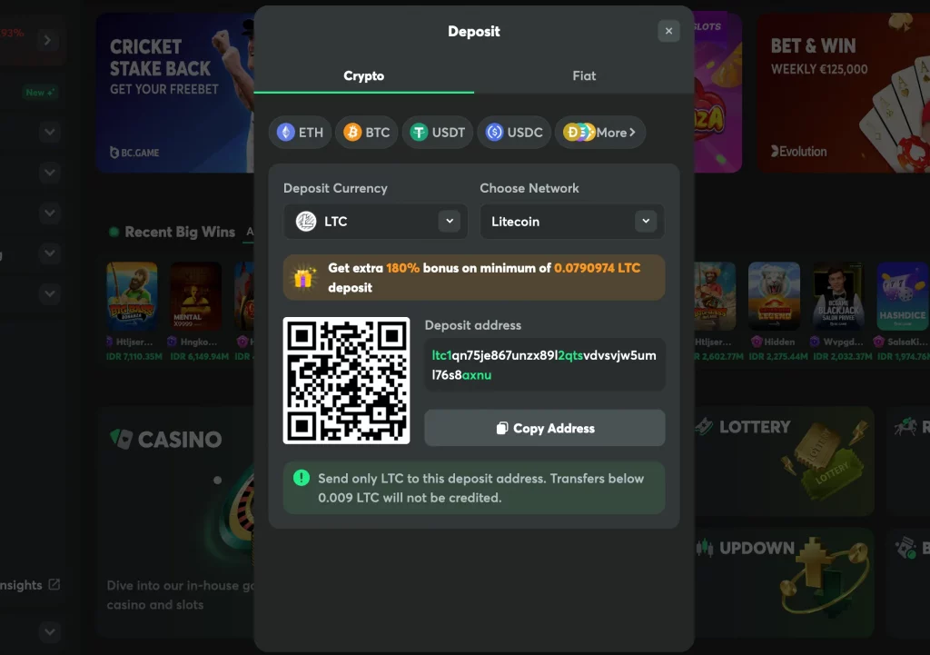 bc.game litecoin casino deposit