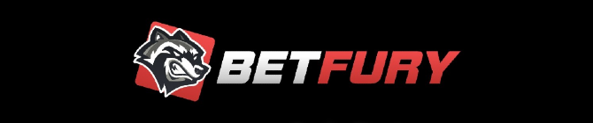 BetFury Wide Logo