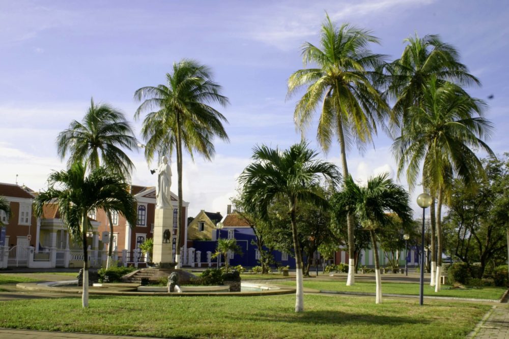 curaçao square with palm trees
