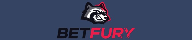 BetFury Wide Logo