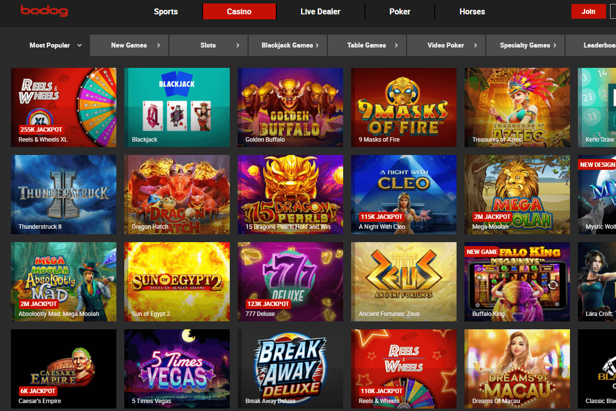 Bodog Casino Homepage