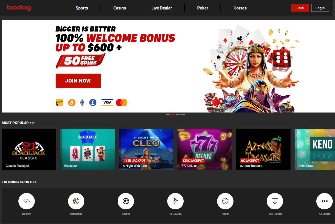 Bodog's Homepage