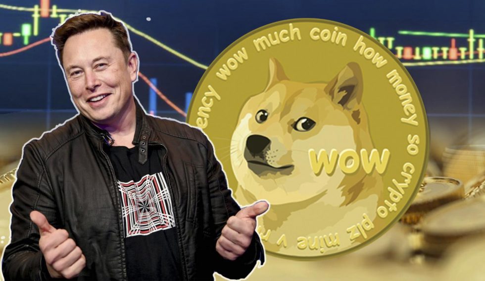 Dogecoin Blackjack Guide