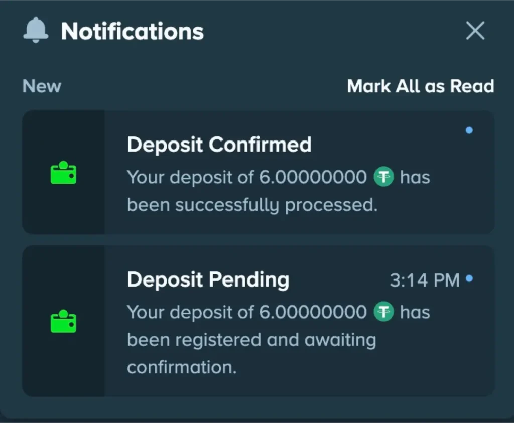 stake casino deposit