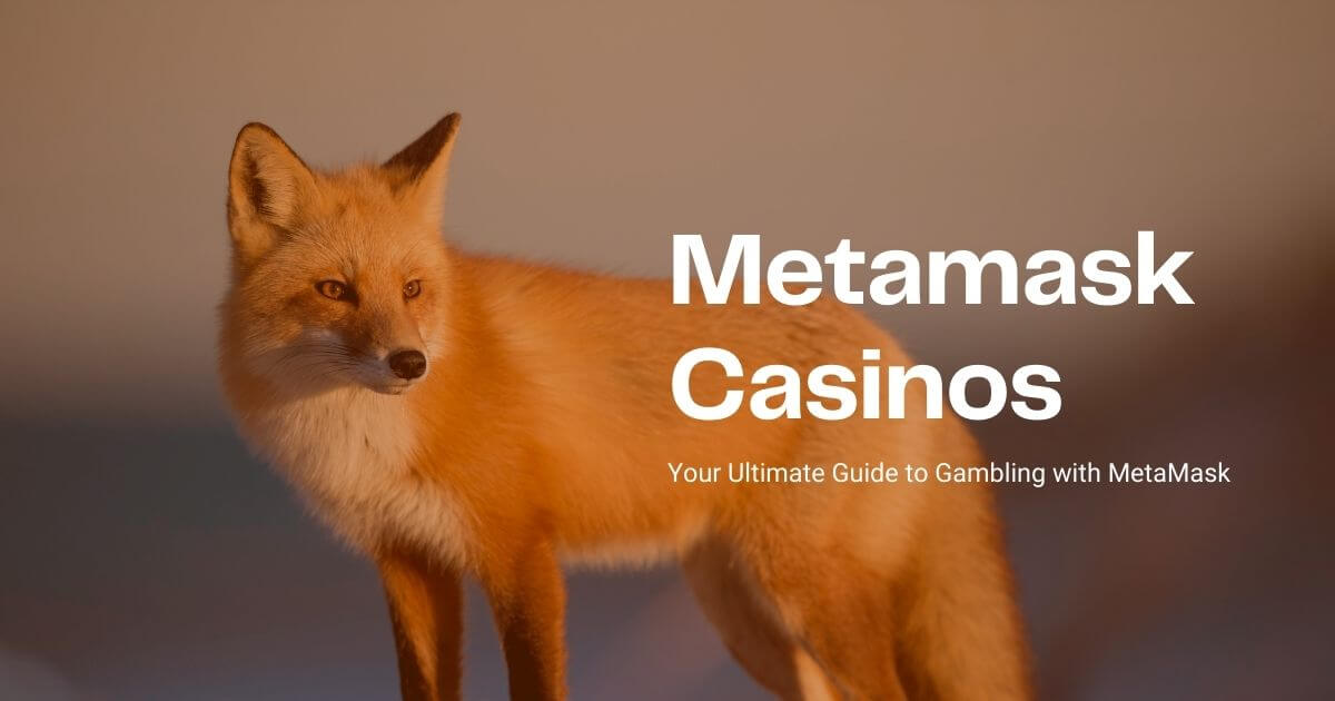 MetaMask Casinos: The Ultimate Guide to MetaMask Gambling