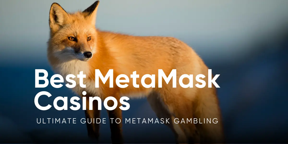 MetaMask Casinos: The Ultimate Guide to MetaMask Gambling