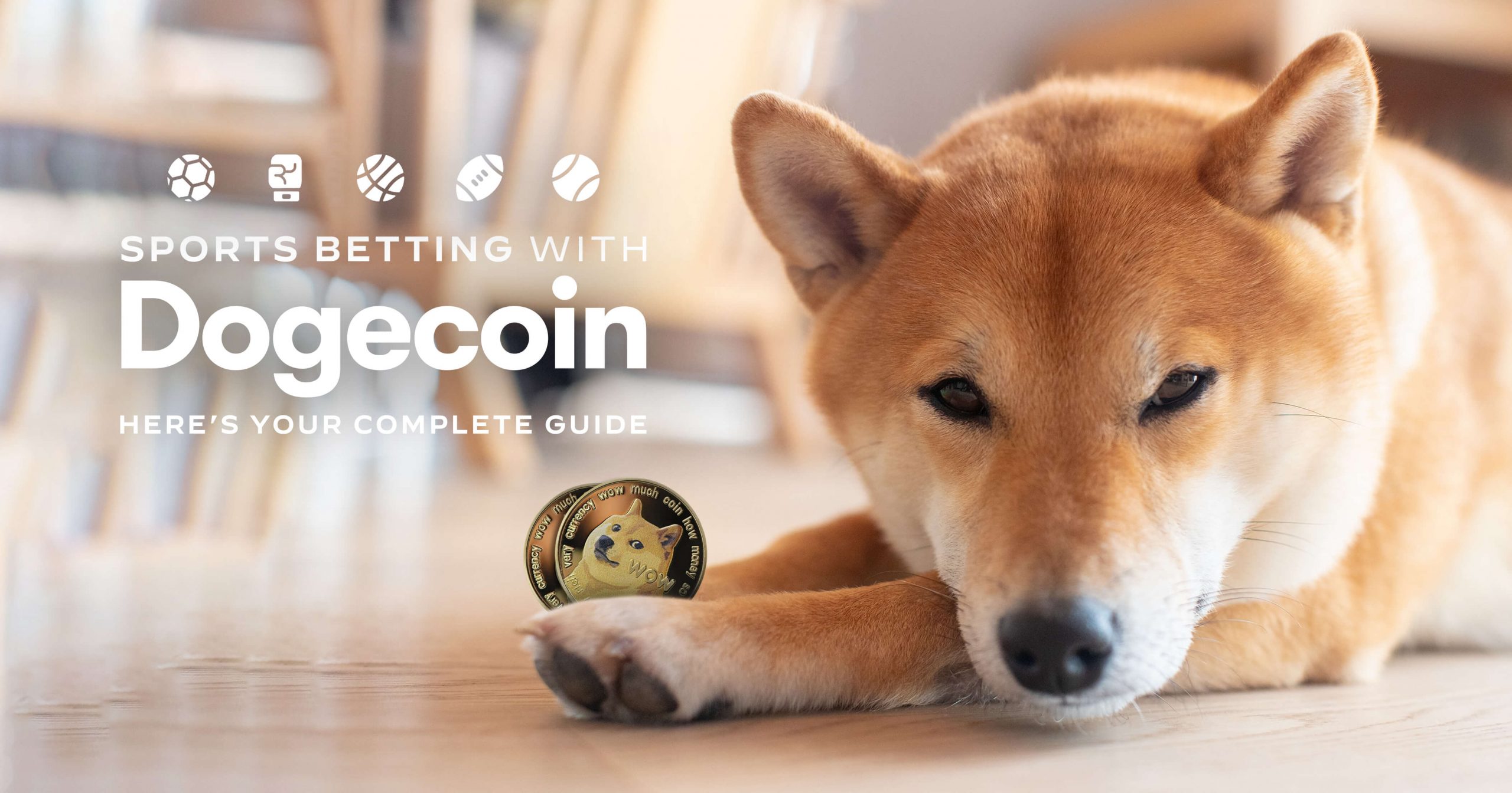 Sports Betting with Dogecoin? Here's Your Complete 2023 Guide