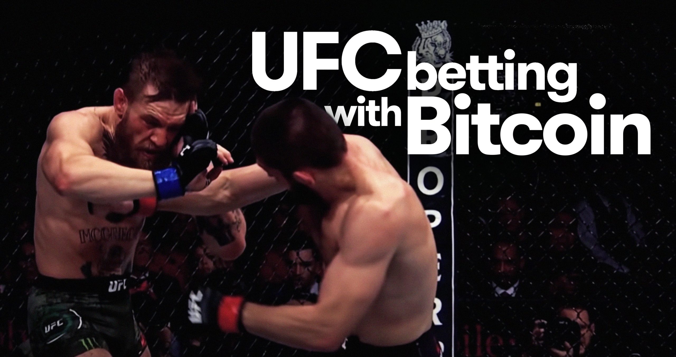 UFC Betting with Bitcoin