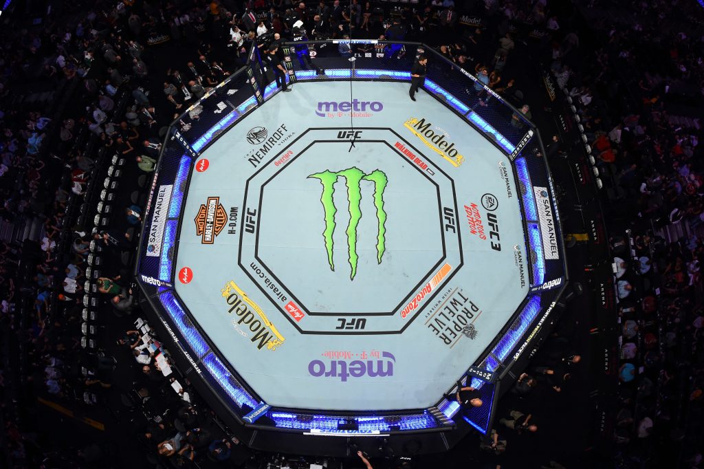 The UFC Octagon