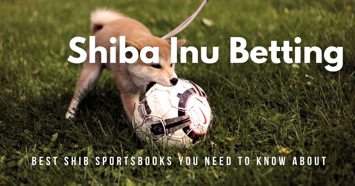 Shiba Inu Betting: Best SHIB Sportsbooks (2023 Guide)