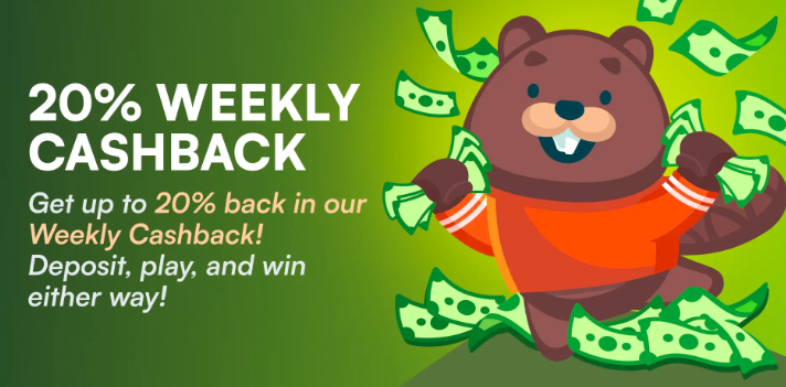 wild.io casino cashback