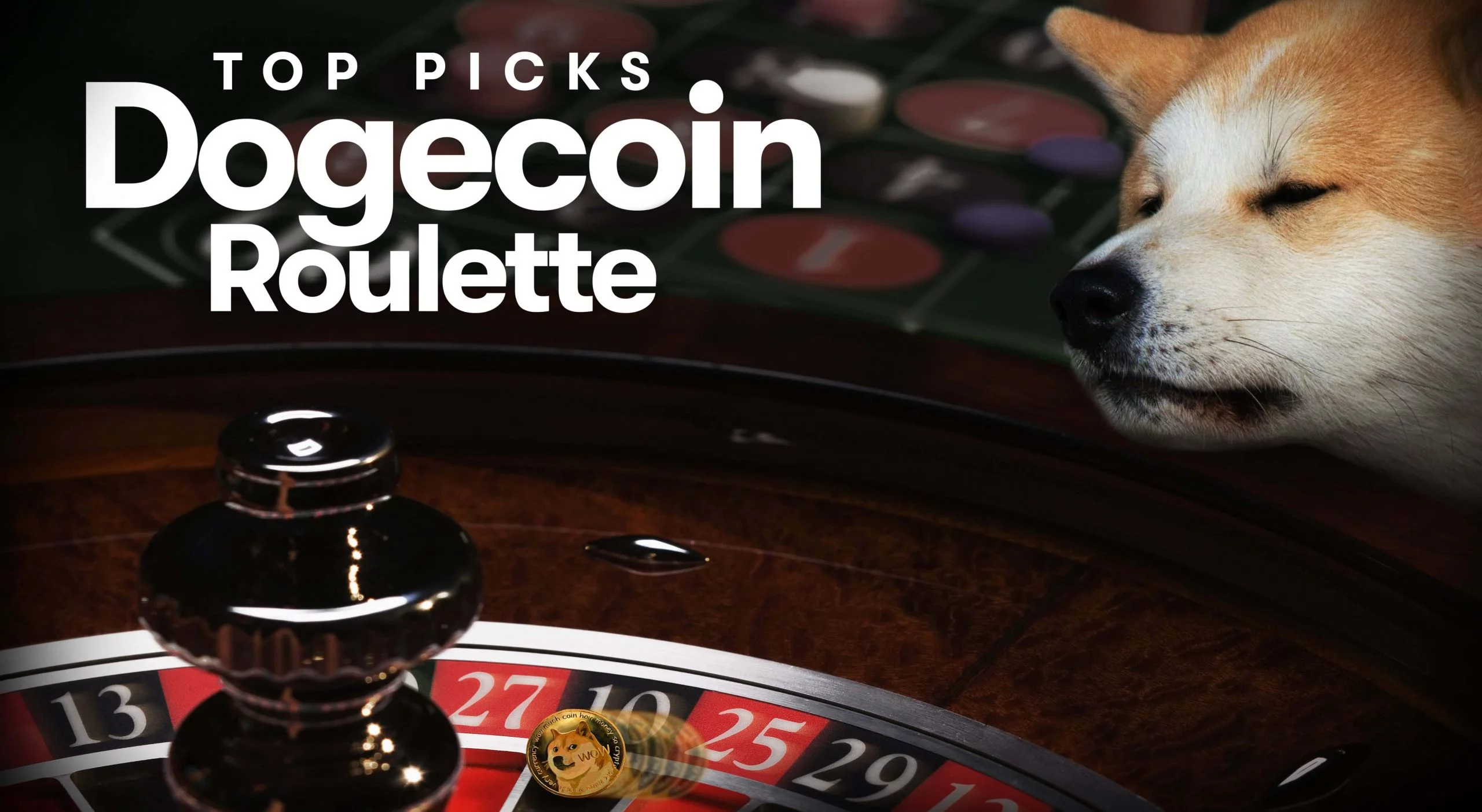 Dogecoin Roulette: 2023's Top Picks [Tried & Tested]