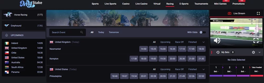 MyStake horse racing interface example