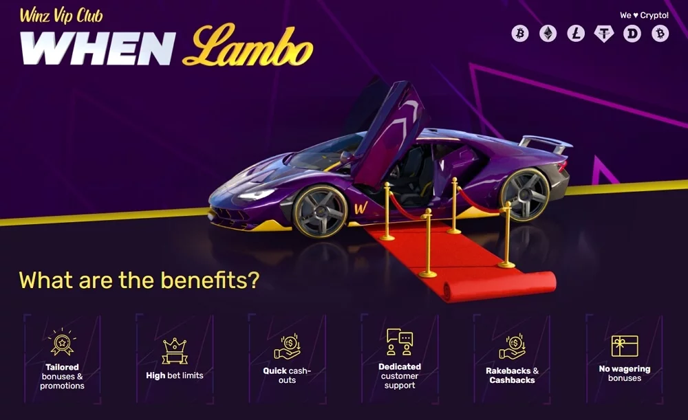 winz.io VIP club